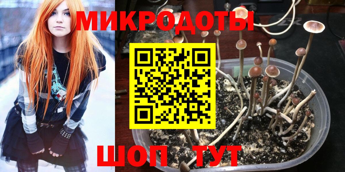 Галлюциногенные грибы мухоморы  Вход с VPN  Железногорск  Галлюциногенные грибы ЛСД 
